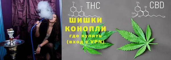прущие грибы Навашино