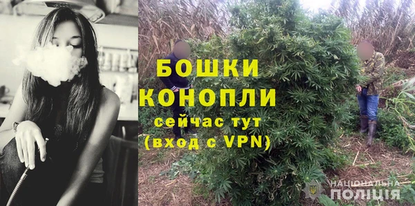 шишки Михайлов