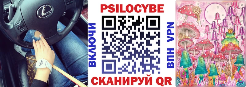 omg онион  Тула  Галлюциногенные грибы Psilocybe 