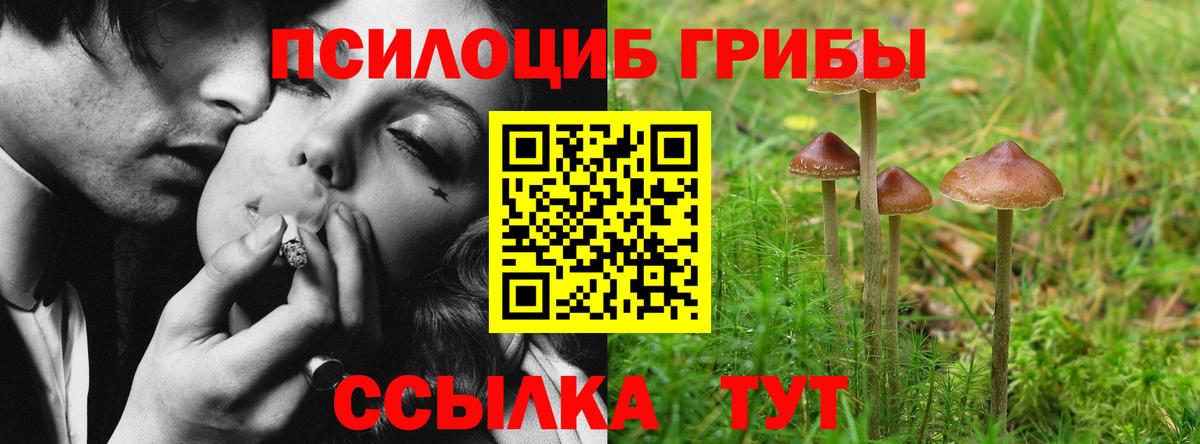 Псилоцибиновые грибы GOLDEN TEACHER  Галлюциногенные грибы GOLDEN TEACHER  Вход с VPN  Тула 