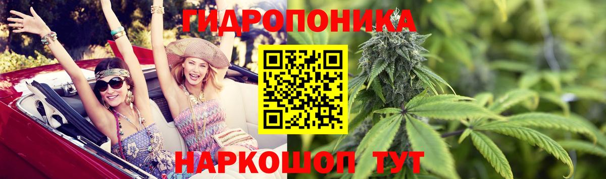 МАРИХУАНА сатива Тула